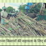 सरकार ने गन्ना किसानों की सहायता के लिए सेस हटाया !