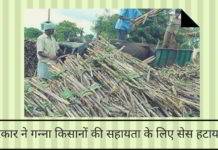 सरकार ने गन्ना किसानों की सहायता के लिए सेस हटाया !