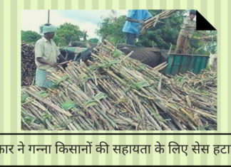 सरकार ने गन्ना किसानों की सहायता के लिए सेस हटाया !