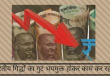 भारतीय गिद्धों का गुट भयमुक्त होकर काम कर रहा है भारतीय गिद्धों का गुट भयमुक्त होकर काम कर रहा है