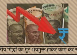 भारतीय गिद्धों का गुट भयमुक्त होकर काम कर रहा है