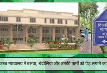 2G मामला: दिल्ली उच्च न्यायालय ने बलवा, चंदोलिया और उनकी फर्मों को मामले में देरी करने की कोशिश के लिए 16,300 पेड़ लगाने का आदेश दिया दिल्ली उच्च न्यायालय ने बलवा, चंदोलिया और उनकी फर्मों को मामले में देरी करने की कोशिश के लिए 16,300 पेड़ लगाने का आदेश दिया