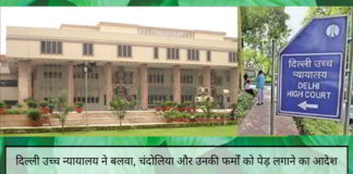 दिल्ली उच्च न्यायालय ने बलवा, चंदोलिया और उनकी फर्मों को मामले में देरी करने की कोशिश के लिए 16,300 पेड़ लगाने का आदेश दिया