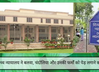 2G मामला: दिल्ली उच्च न्यायालय ने बलवा, चंदोलिया और उनकी फर्मों को मामले में देरी करने की कोशिश के लिए 16,300 पेड़ लगाने का आदेश दिया दिल्ली उच्च न्यायालय ने बलवा, चंदोलिया और उनकी फर्मों को मामले में देरी करने की कोशिश के लिए 16,300 पेड़ लगाने का आदेश दिया