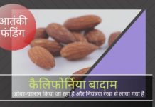 एलओसी व्यापार को रोकने के कारणों में से एक है - भारत मे लाये जाने वाले कैलिफोर्निया बादाम का अधि-चालान (Over-invoice)।