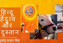 जिस प्रकार से एक "मनुष्य" की पहचान उसके "मनुष्यता" से होती है, उसी प्रकार से "हिन्दू" की आत्मा ही "हिंदुत्व" है। अगर कोई मनुष्य समाज में कोई गलत काम करता है, अथवा किसी गरीब और परेशान व्यक्ति की मदद के लिए आगे नहीं आता, तो हम कह सकते हैं कि उस व्यक्ति में "मनुष्यता" नहीं है।