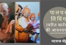 यह मामला ऐसा लगता है कि स्थानीय भीड़ को इलाके में सक्रिय कौमी नक्सली तत्वों द्वारा उनके लाभ के लिए उकसाया गया।