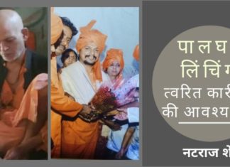 यह मामला ऐसा लगता है कि स्थानीय भीड़ को इलाके में सक्रिय कौमी नक्सली तत्वों द्वारा उनके लाभ के लिए उकसाया गया।