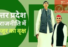 उत्तर प्रदेश की राजनीति में खजूर का वृक्ष