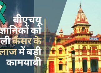 बीएचयू के वैज्ञानिकों ने सुझाया कीमोथेरेपी से होने वाले दर्द को कम करने का तरीका