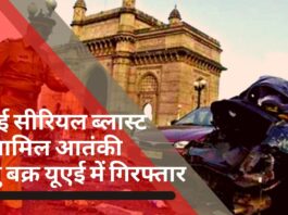 मुंबई सीरियल ब्लास्ट में शामिल आतंकी अबु बक्र यूएई में गिरफ्तार, भारत लाया जाएगा दाउद का करीबी
