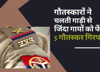 गुरुग्राम में गौतस्कारों ने बचने के लिए चलती गाड़ी से जिंदा गायों को फेंका