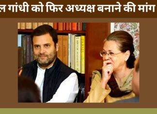 राहुल गांधी को फिर अध्यक्ष बनाने की मांग उठी, पीसीसी ने किया प्रस्ताव पारित