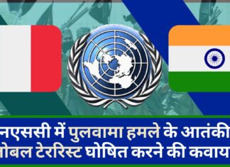 पुलवामा हमले के आतंकी को ग्लोबल टेररिस्ट घोषित करने के लिए भारत और फ्रांस यूएनएससी में आये एक साथ!