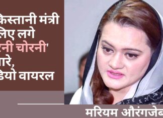 पाकिस्तानी मंत्री की लंदन में बसे पाकिस्तानियों ने की बेइज्जती, बनाया वीडियो।