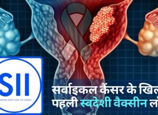 सर्वाइकल कैंसर के खिलाफ पहली स्वदेशी वैक्सीन सीरम इंस्टीट्यूट और केंद्र सरकार ने लॉन्च की! सर्वाइकल कैंसर के खिलाफ पहली स्वदेशी वैक्सीन सीरम इंस्टीट्यूट और केंद्र सरकार ने लॉन्च की!