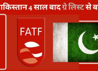 पाकिस्तान को एफएटीएफ ग्रे लिस्ट से हटाना वैश्विक राजनीति की सोची समझी चाल!