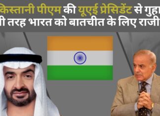 पाकिस्तान पीएम की यूएई प्रेसिडेंट से अपील; भारत को चर्चा के लिए तैयार करें